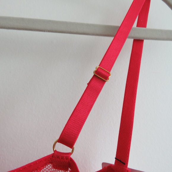 DAISY FUENTES Lace Babydoll Teddy Bra Mesh Negligee Pinup Sexy Y2K - Size M NWT - Picture 12 of 16